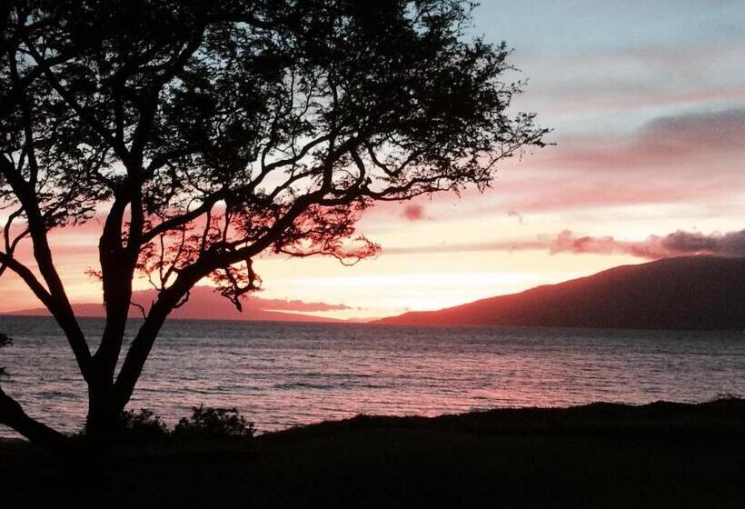 Bed and Breakfast Aloha Aku - Honu 2