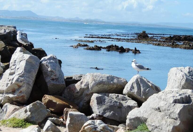 مبيت وإفطار Wave Dancer