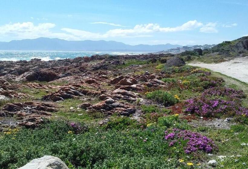 مبيت وإفطار Wave Dancer