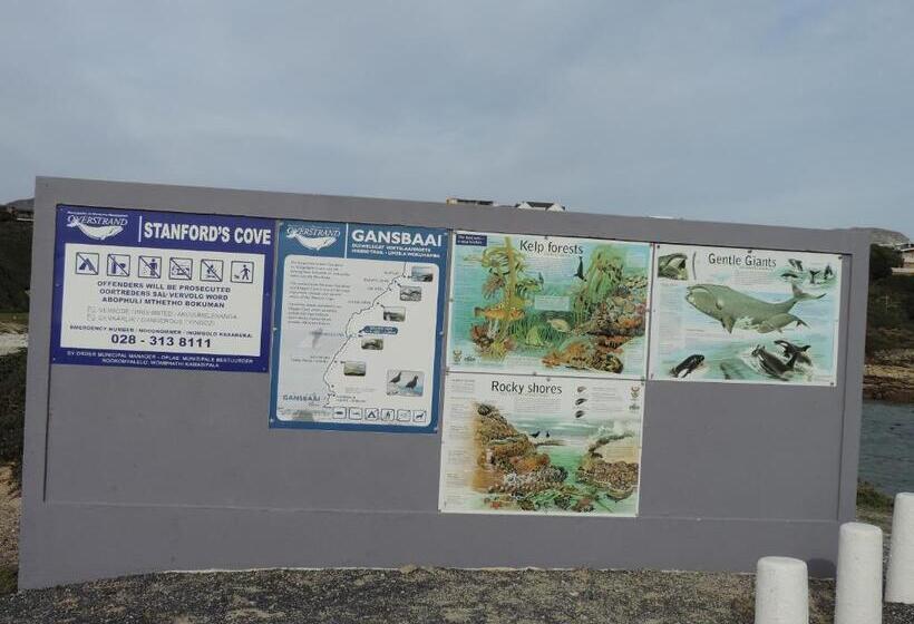 مبيت وإفطار Wave Dancer