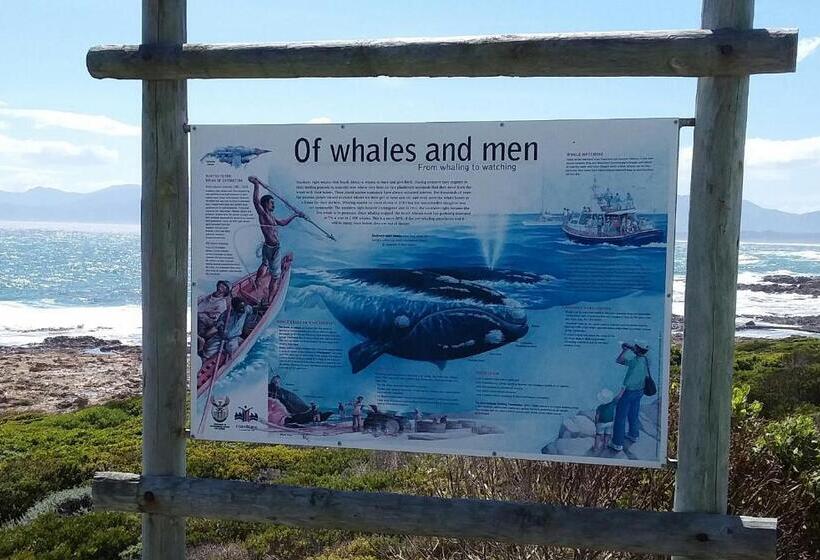 مبيت وإفطار Wave Dancer