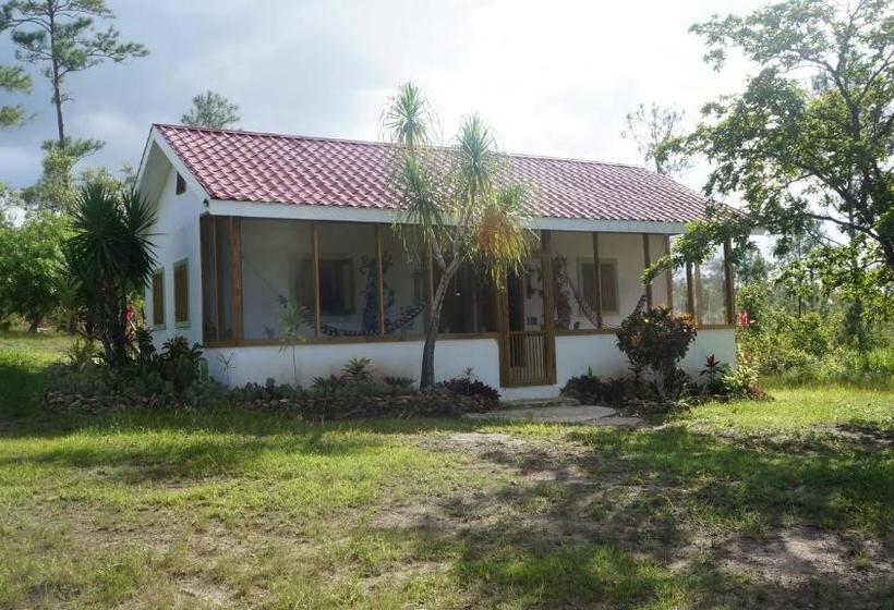 בית מלון כפרי Pine Ridge Lodge