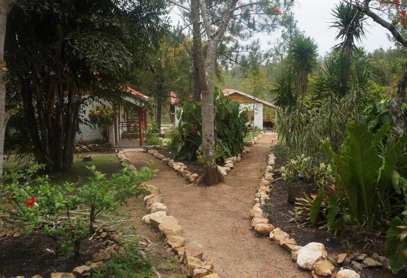 בית מלון כפרי Pine Ridge Lodge