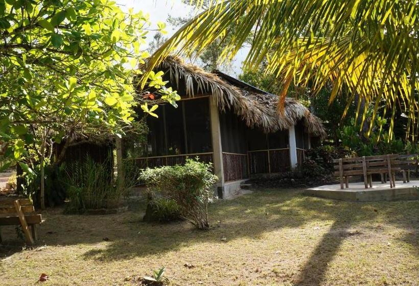 בית מלון כפרי Pine Ridge Lodge