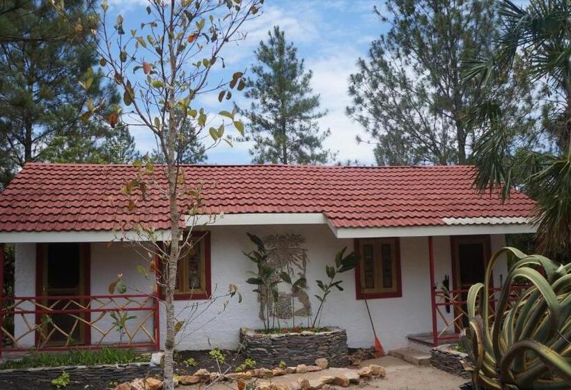 בית מלון כפרי Pine Ridge Lodge