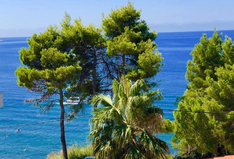 پانسیون Apartmani Maja