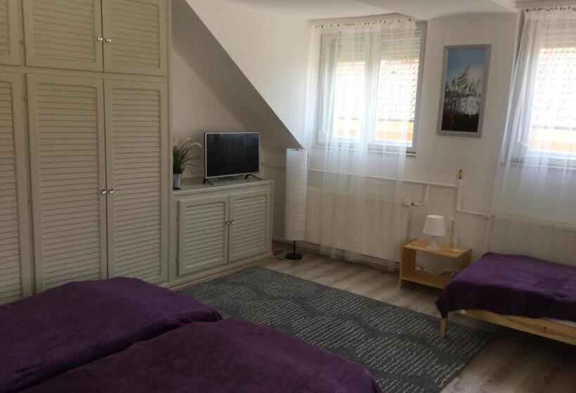 פנסיון Avas Apartman