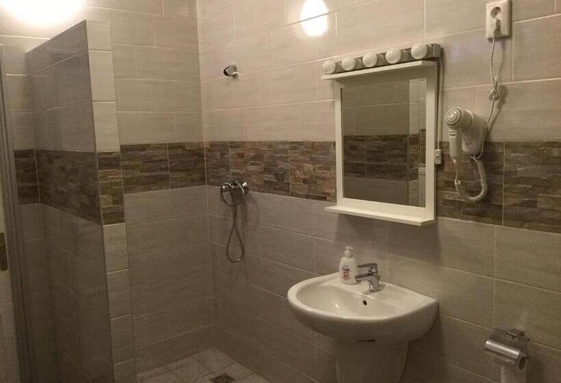 פנסיון Avas Apartman