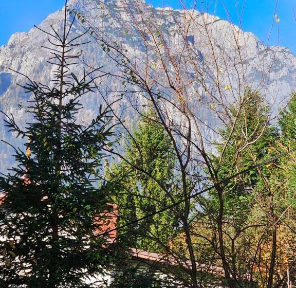 פנסיון Casa Mina