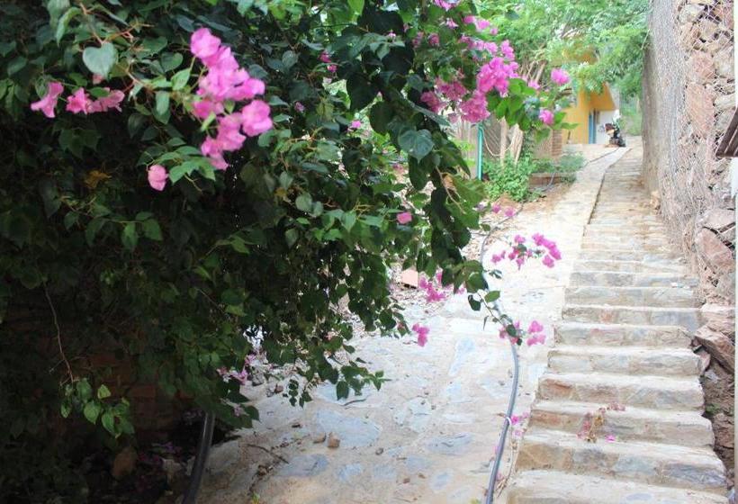 פנסיון Cielo Hostel