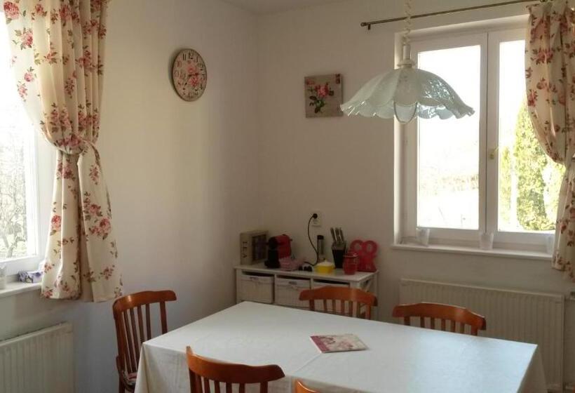 Пансион Farkaskő Vendégház