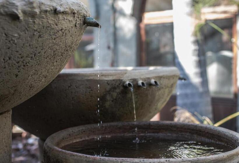 ペンション Flamboyant Guesthouse