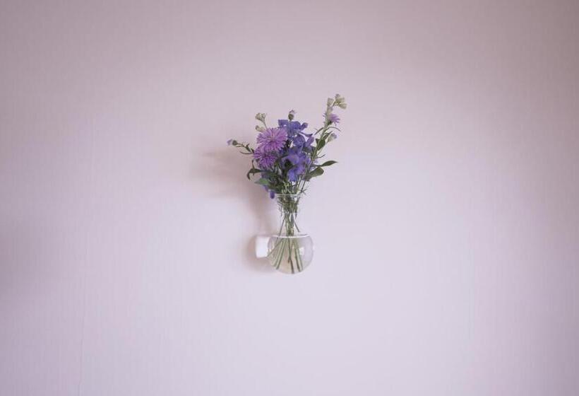 膳宿费 Guest House Kadoyasu