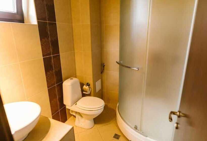 פנסיון Hanul Conitei