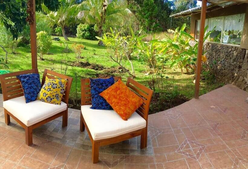 פנסיון Hostal Harepakoba