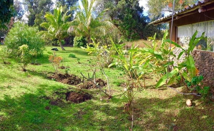 פנסיון Hostal Harepakoba