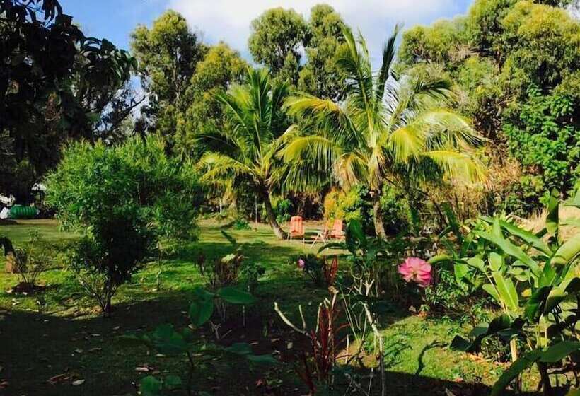 פנסיון Hostal Harepakoba