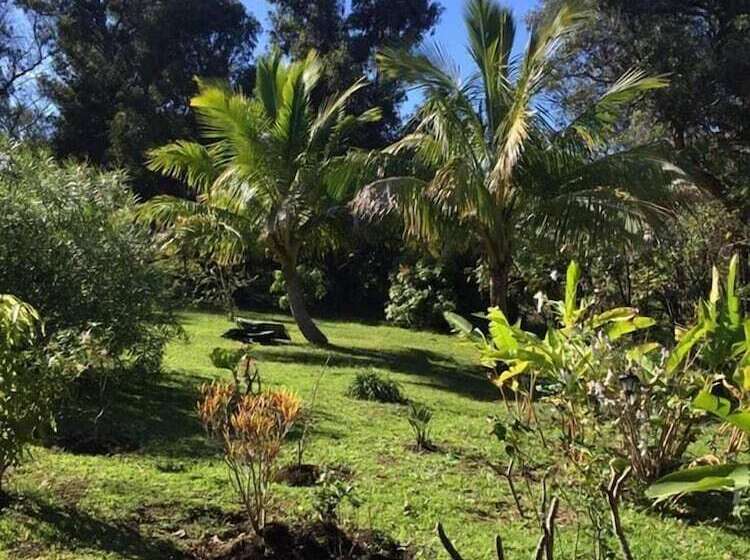 פנסיון Hostal Harepakoba