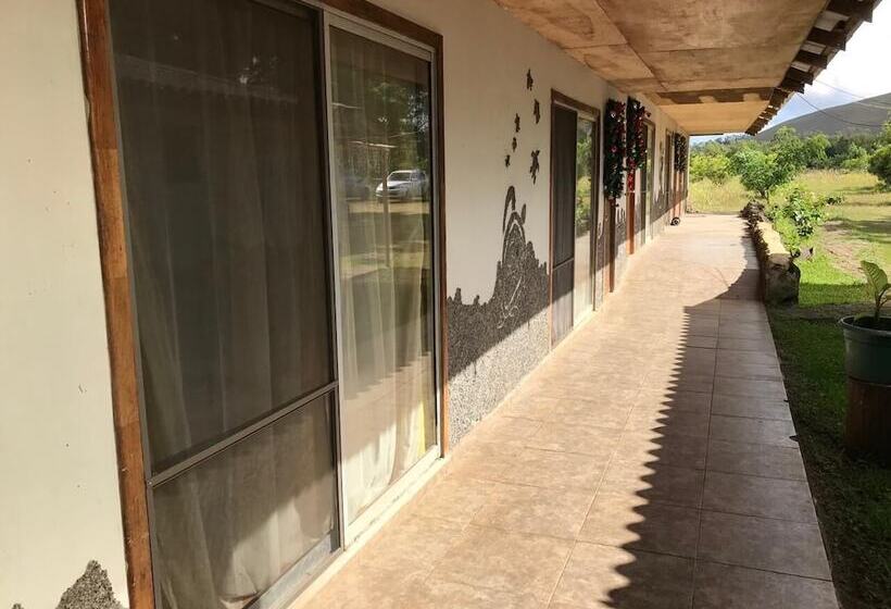 פנסיון Hostal Harepakoba