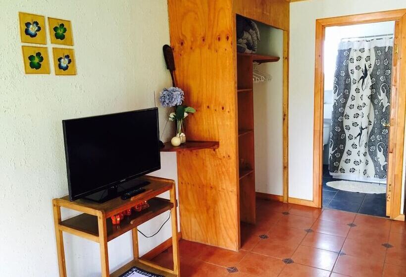 פנסיון Hostal Harepakoba