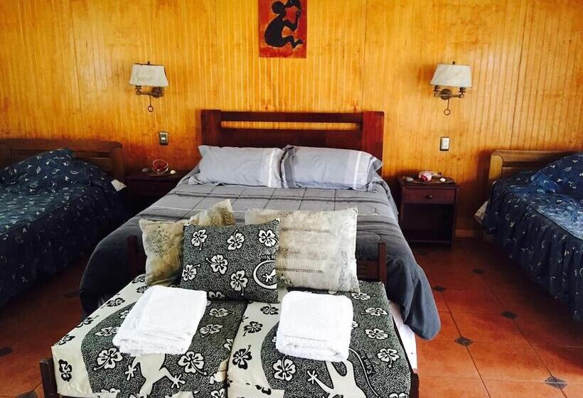 פנסיון Hostal Harepakoba