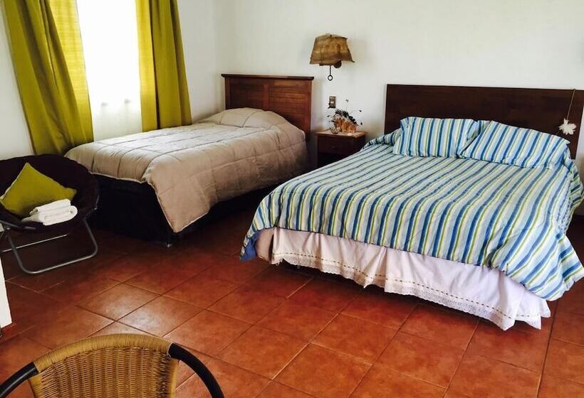 פנסיון Hostal Harepakoba