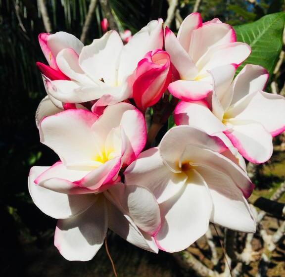 Пансион Namtok Bungalows