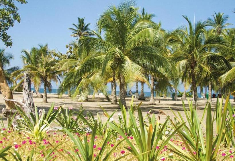 פנסיון Palmares Del Francés