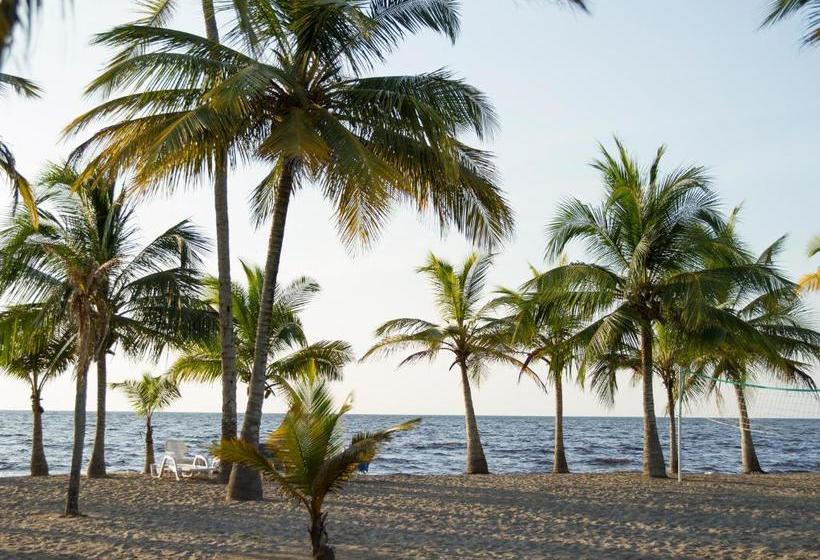 פנסיון Palmares Del Francés