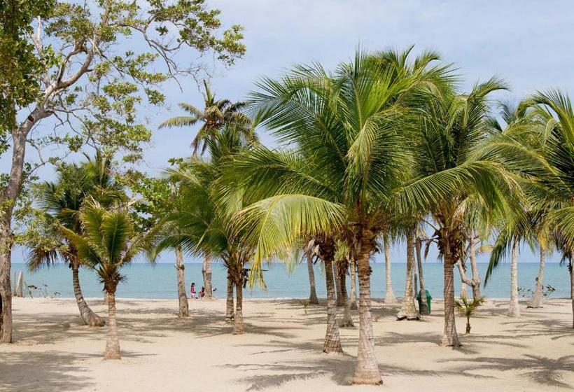 پانسیون Palmares Del Francés