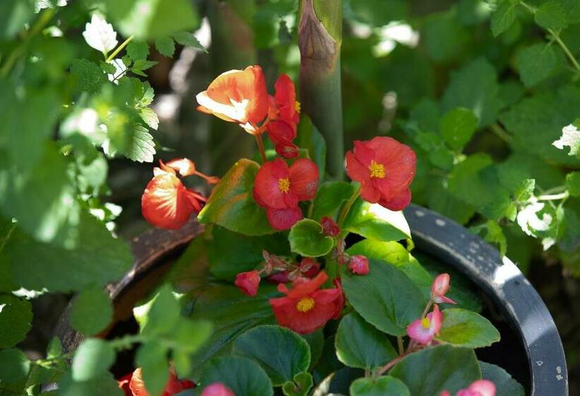 پانسیون Part Apartman