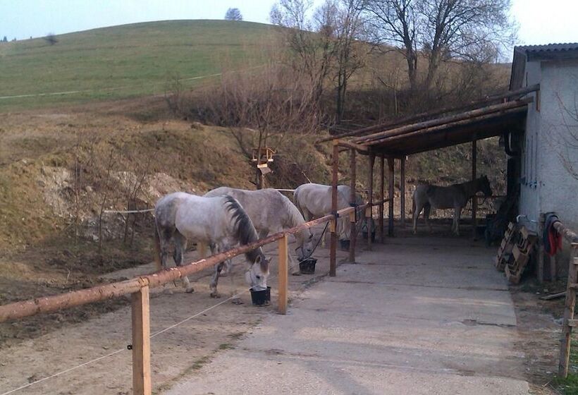 بنسيون Penzion Leštiny