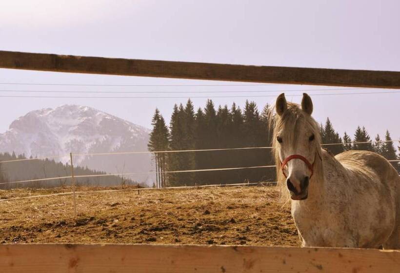 بنسيون Penzion Leštiny