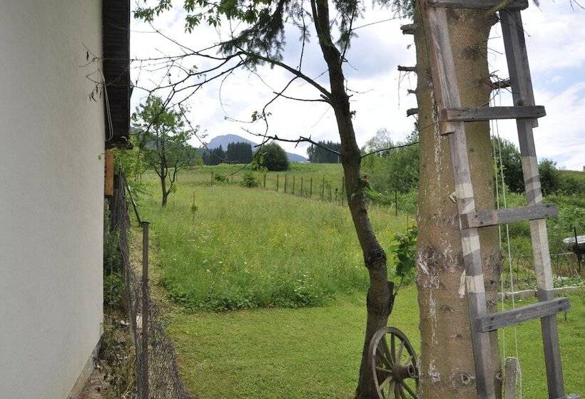 بنسيون Penzion Leštiny