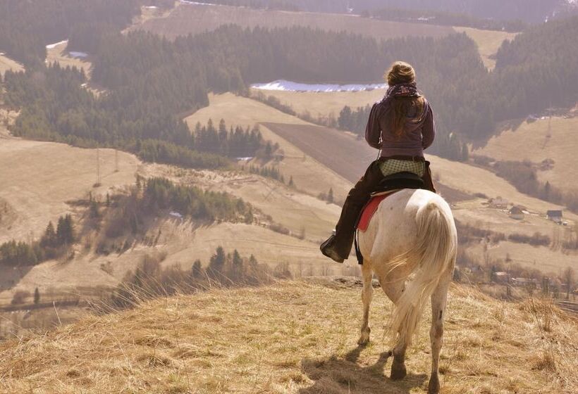 بنسيون Penzion Leštiny