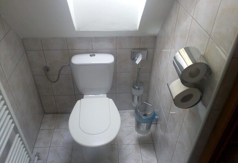 بنسيون Penzion Leštiny