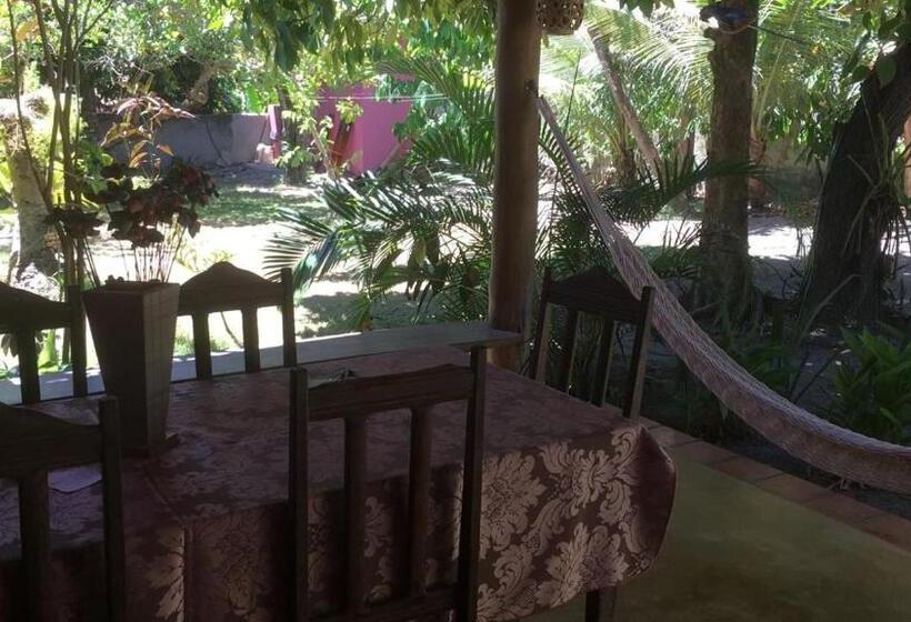 پانسیون Pousada Grafite