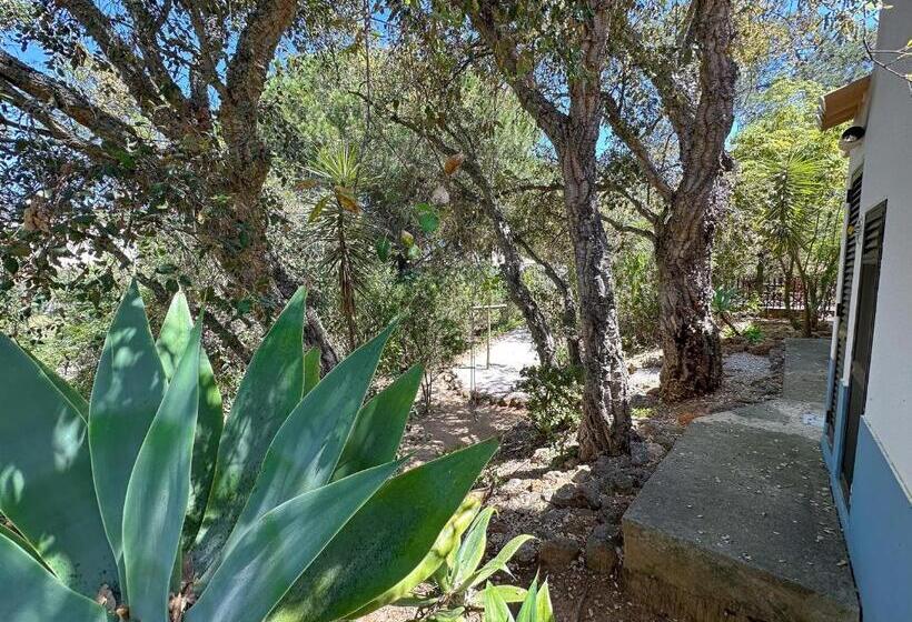 پانسیون Quinta Do Rosal