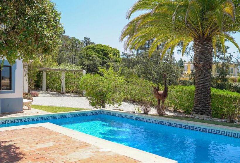 پانسیون Quinta Do Rosal