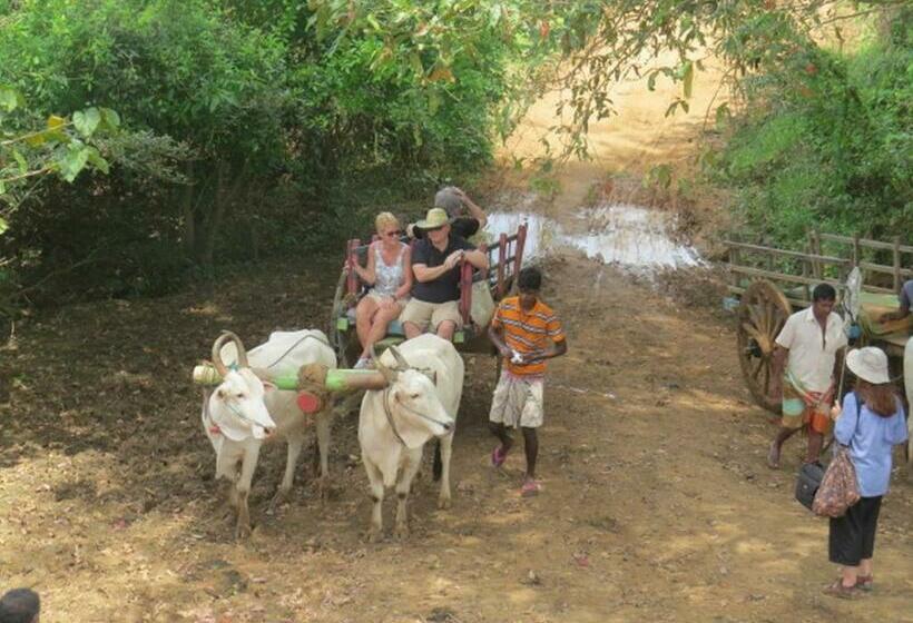 ペンション Rimaka Village Tourist Board Approved