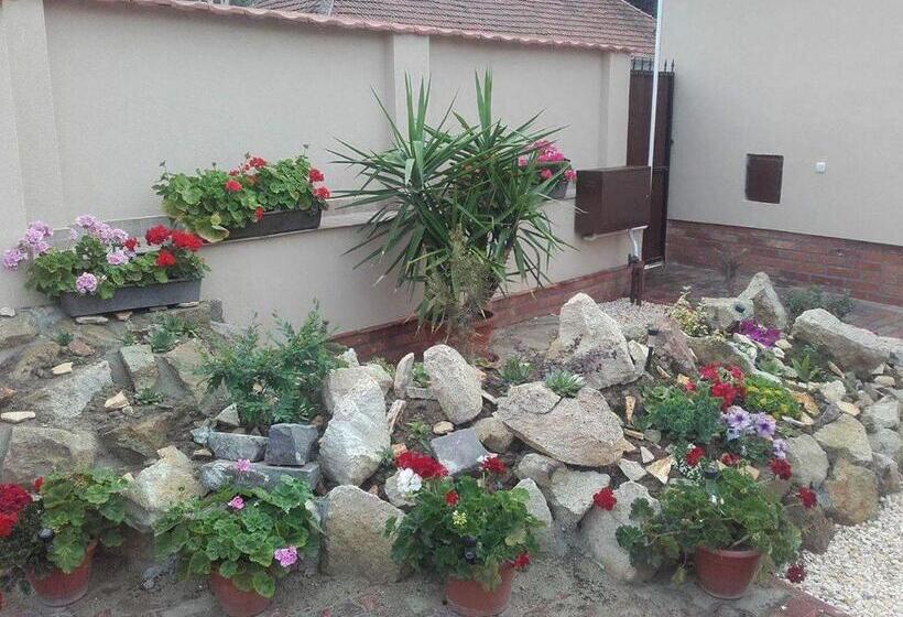 פנסיון Réka Vendéghàz