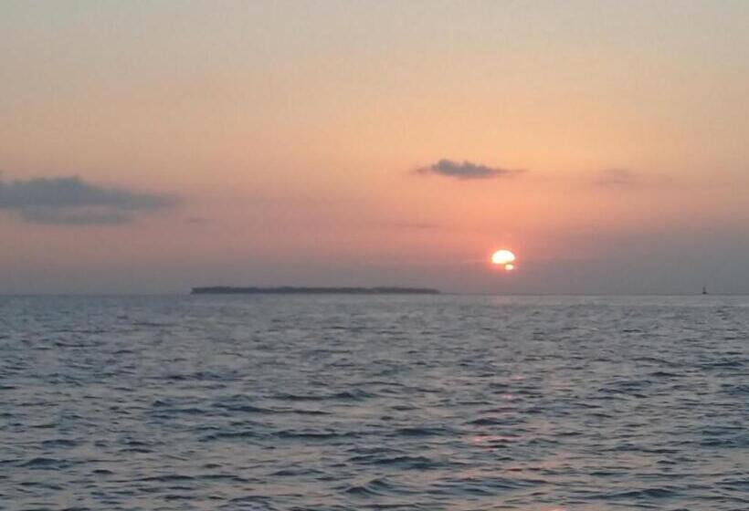 פנסיון Sesoko Island Guest House Kafuu Village