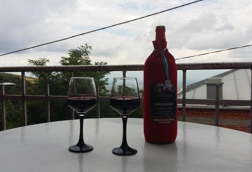 پانسیون Tsminda Giorgi Apartment