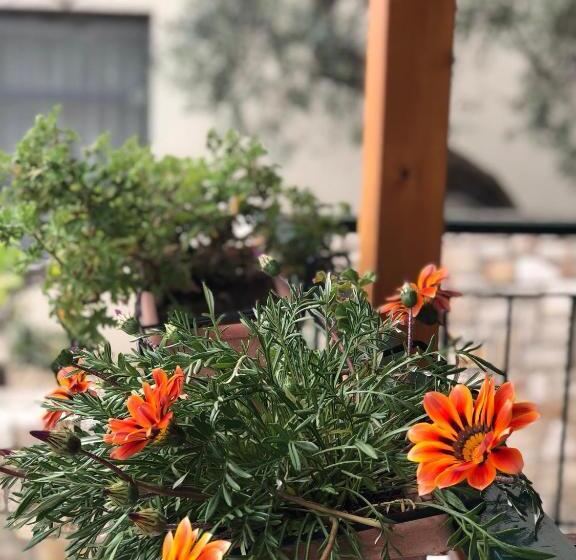 פנסיון Tzavelitiko Home