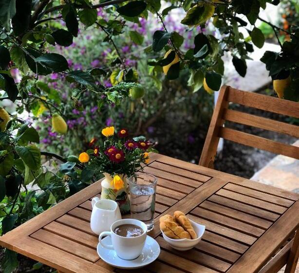 פנסיון Tzavelitiko Home