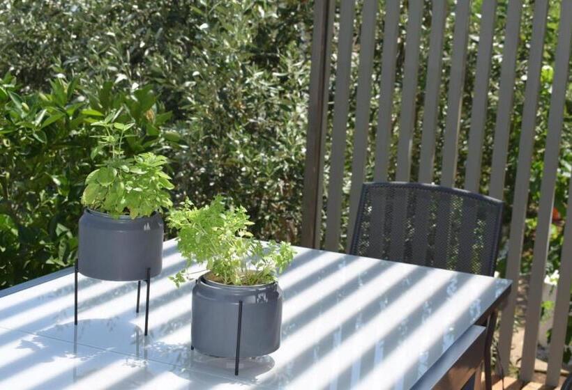 פנסיון Tzavelitiko Home