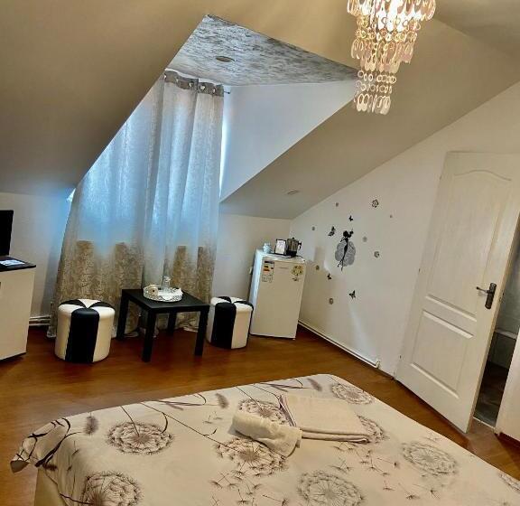 膳宿费 Unser Haus