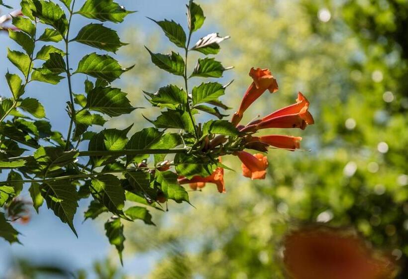 Residence Fischerhof