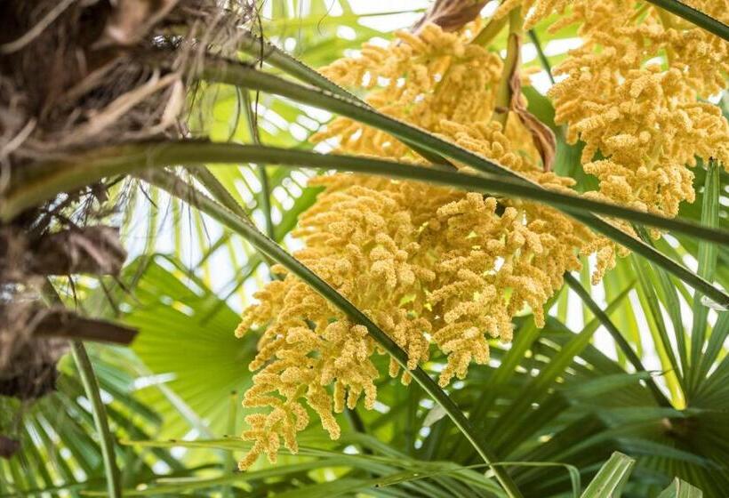 Residence Fischerhof