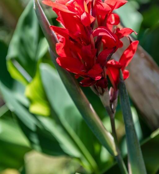 Residence Fischerhof